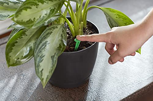 Miracle-Gro Indoor Plant Food Spikes - Slow-Release Fertilizer, 24 Count