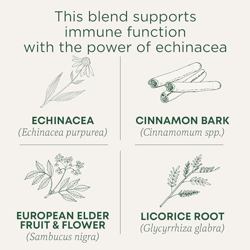 Traditional Medicinals Organic Elderberry Echinacea Tea - 16 Bags