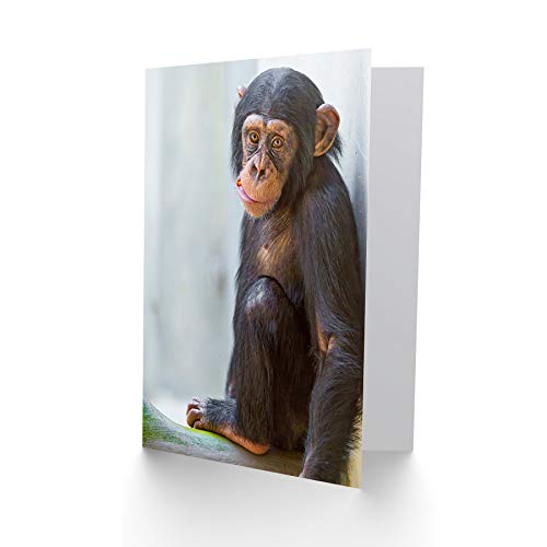 Cute Chimpanzee Greeting Card - Premium Blank Card with Envelope