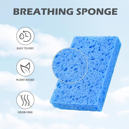 Cellulose Kitchen Sponges 6 Pack - Eco-Friendly, Absorbent & Non-Scratch Cleaning