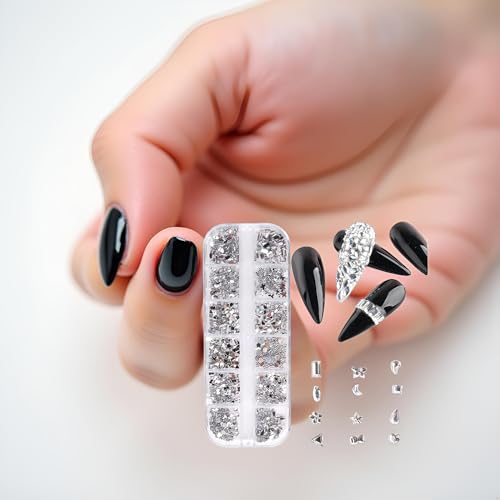 3D Nail Art Rhinestones 12 Grids Crystal Gems and Dangle Jewelry Kit