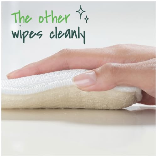Scotch-Brite Greener Clean Dual Action Dish Scrubber 2-Pack