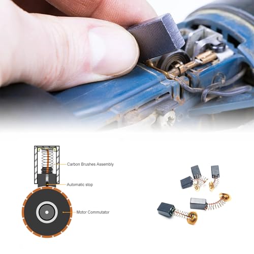 RICHERI 50 Pcs Electric Motor Carbon Brushes, 10 Assorted Sizes for Power Tools