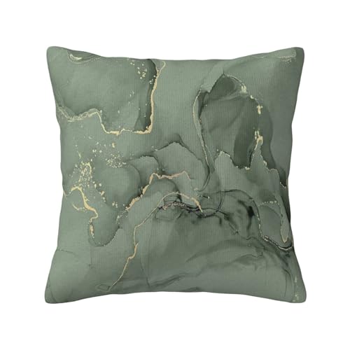 Sage Green and Gold Abstract Throw Pillow Cover, 18x18 Inch Plush Case Zjf16