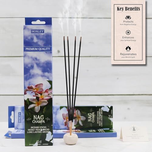 240-Pack Incense Sticks - Nag Champa, Lavender, Patchouli & 3 Random Scents