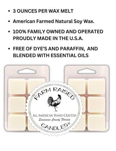 Eucalyptus Zen Soy Wax Melts - 2 Pack for Fresh Home Fragrance