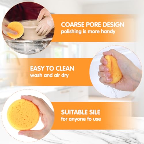 Natural Cellulose Kitchen Sponges - 12 Pack Eco-Friendly Dishwashing Sponges