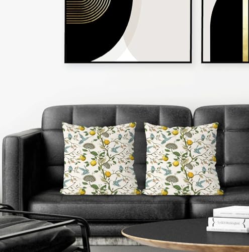 Supwhd 18x18 Inch Chinoiserie Pillow Cover with Hummingbird & Lemon Design - Set of 1