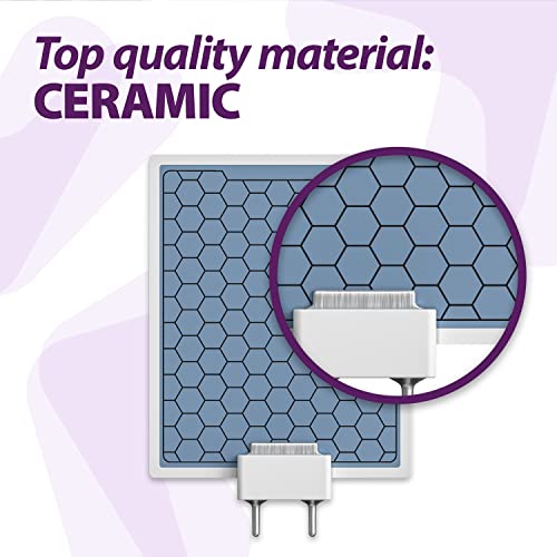 Replacement Ceramic Ozone Plate for 10,000mg/h Generators