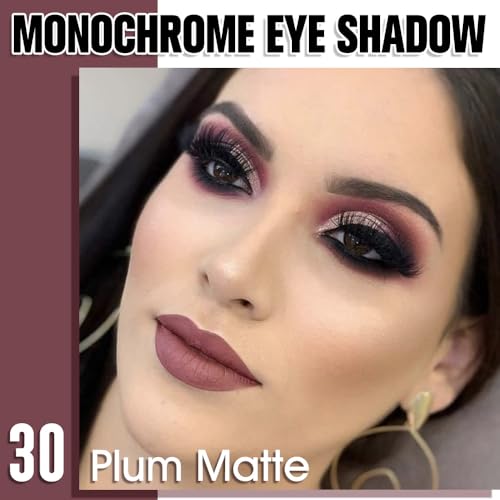 WanTuoluo Plum Matte Single Eyeshadow Pressed Powder Shimmer Makeup