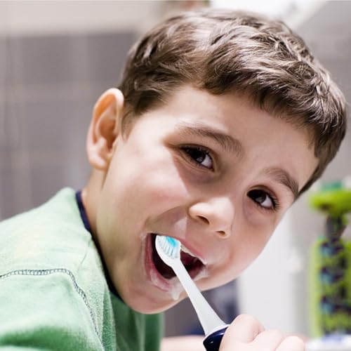 Healeved Electric Toothbrush Replacement Heads 6-Pack for X-3