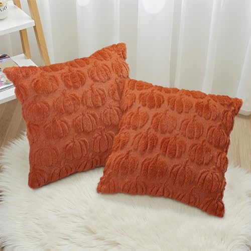 Robvobe Fall Pumpkin Pillow Covers 18x18 Set of 2 Autumn Decor Plush Jacquard