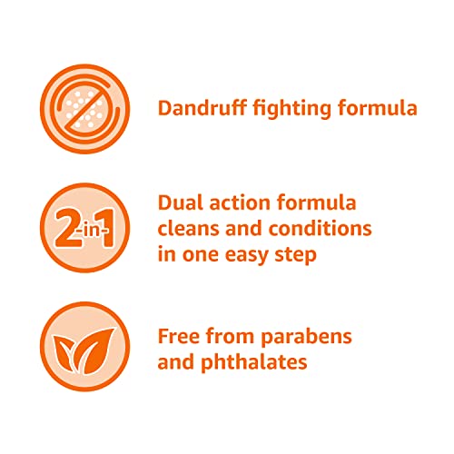 Amazon Basics 2-in-1 Anti-Dandruff Shampoo & Conditioner, 12.5 Fl Oz