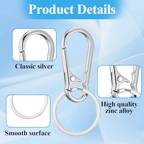 10 Packs Metal Keychain Carabiner Clip, Stainless Steel Heavy Duty Key Chain, Keyring Key Ring Chain Clips Hook Holder Key Organizer for Men Women,Silver