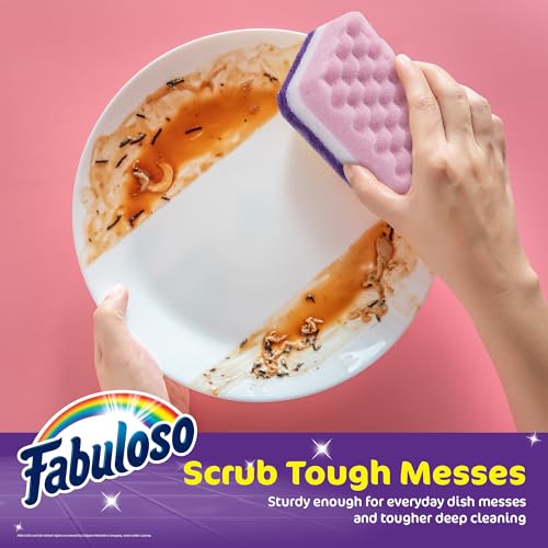 Fabuloso Scratch-Free Kitchen Dish Sponges, 4 Count - Purple