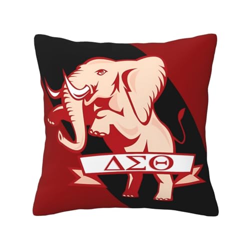 White 18x18 Inch Sorority Throw Pillow Cover - Decorative Couch & Bed Accent