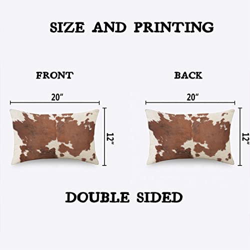 Brown Cowhide Throw Pillow Case 12 x 20 Inch - TKS MITLAN