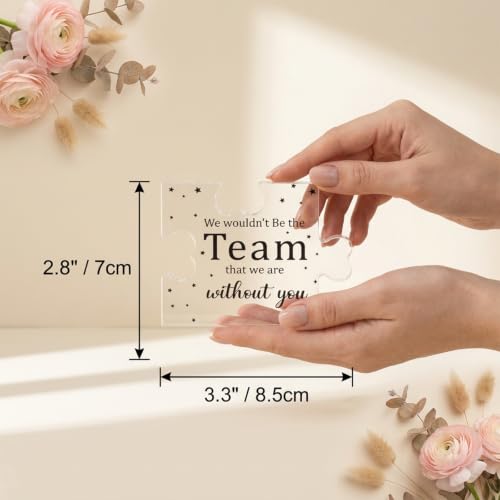 Acrylic Puzzle Plaque - Appreciation Gift for Bosses & Teachers