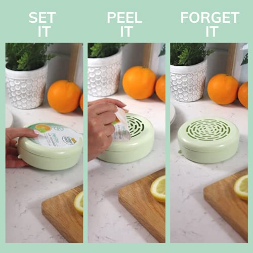 Citrus Magic Air Fresheners - Fresh Citrus Scent, 8 oz, Pack of 6