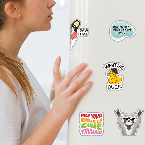 Debinolo Funny Fridge Magnets - 16 Piece Meme Set for Kitchen and Office