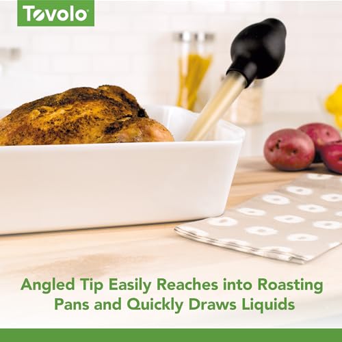 Tovolo Dripless Turkey Baster with Cleaning Brush - Heat Resistant Tritan