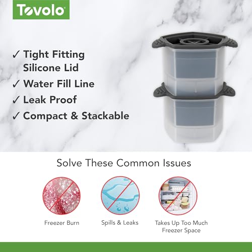 Tovolo Rose Ice Cube Molds Set of 2 - Slow Melting Silicone