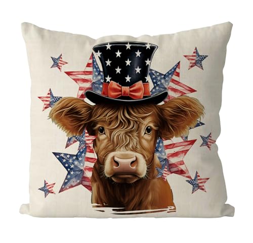 18x18 Inch American Patriotic Pillow Cover - 4th of July Throw Cushion