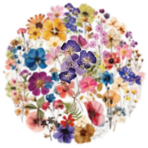 50 Pack Floral Vinyl Stickers Waterproof Aesthetic Decals for Water Bottles Laptop