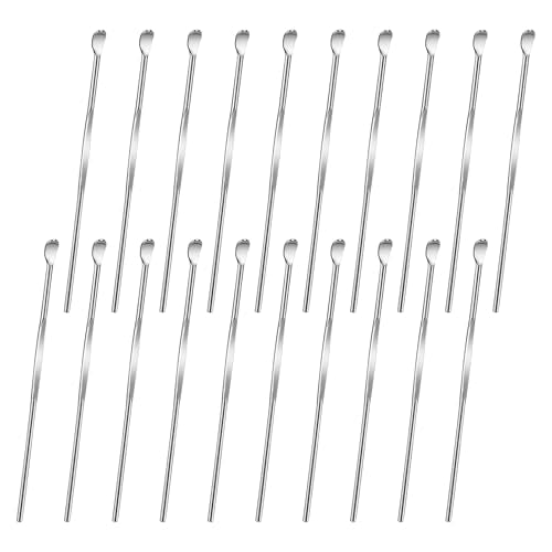 Trinkrittey 20 Pcs Stainless Steel Ear Pick Metal Earwax Removal Tool