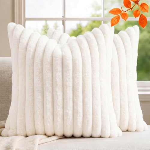 Set of 2 Cream White Decorative Throw Pillow Covers 18x18