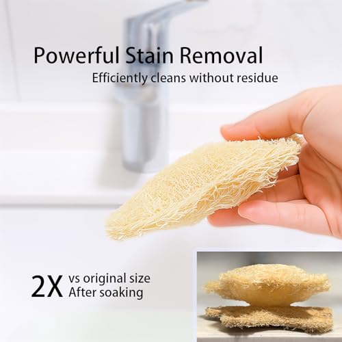 Natural Loofah Body Scrubber 3-Pack Eco-Friendly Exfoliating Shower Sponge