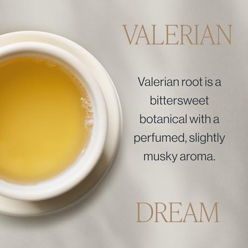 Valerian Dream Organic Herbal Tea Bags - Caffeine Free, 15 Count