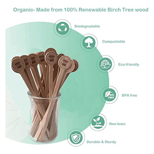 100 Pack Wooden Coffee Stirrers - 6.5 Inch Eco-Friendly Birch Stir Sticks