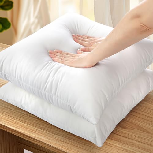 OTOSTAR 16x16 Inch Throw Pillow Insert - Fluffy Decorative Cushion Stuffer (1 Pack, White)