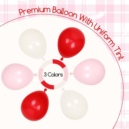 Cherry Birthday Party Decorations with Balloons, Banner & Fringe Curtain