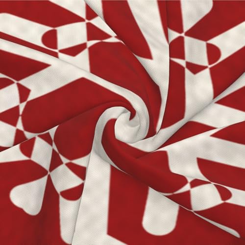 NIDITW Set of 2 Red Wine Snowflakes Throw Pillow Covers 18x18