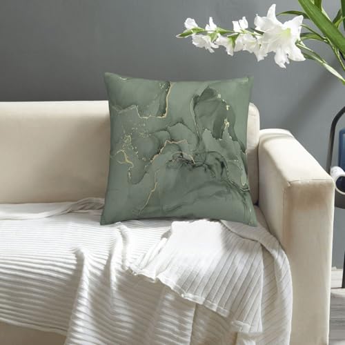 Sage Green and Gold Abstract Throw Pillow Cover, 18x18 Inch Plush Case Zjf16