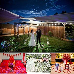1000pcs Artificial Silk Rose Petals for Weddings & Events