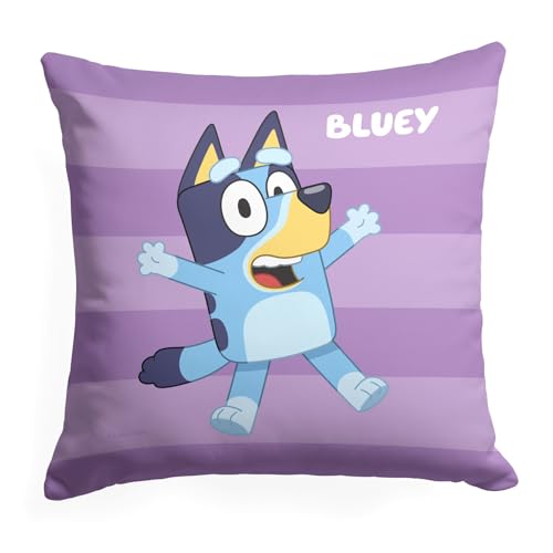 NORTHWEST Bluey Pillow, 18" x 18", Roll Call Bluey