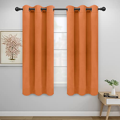 Easy-Going Thermal Blackout Curtains - 2 Panels 42x63 in, Orange