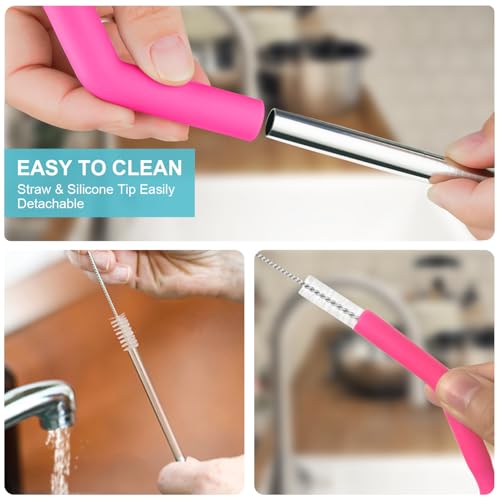 6-Piece Reusable Stainless Steel Straw Set with Silicone Tips & Case - Silver