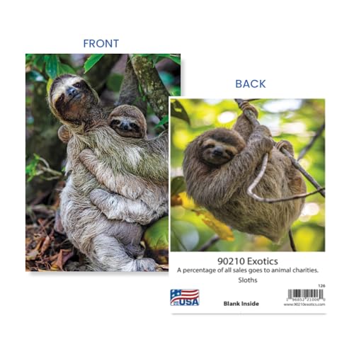 Heartwarming Sloth Greeting Card - 5x7 Blank for Any Occasion