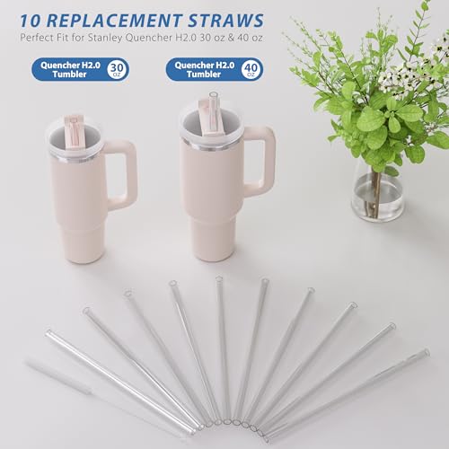 10 Pack Reusable Straws for Stanley Quencher Tumblers - 12 Inch BPA-Free