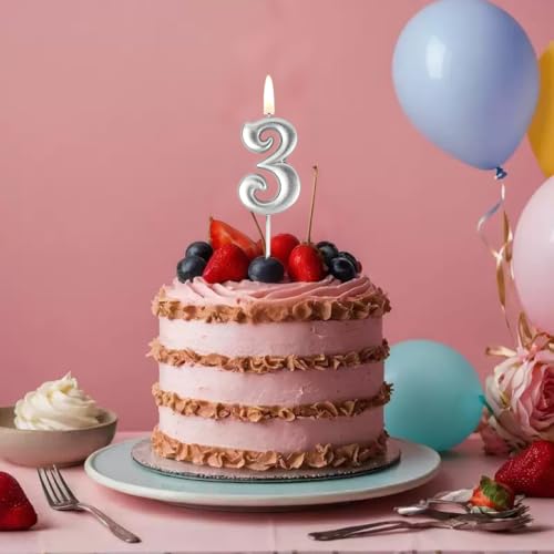 Silver Number 4 Birthday Cake Candle Topper with Holder
