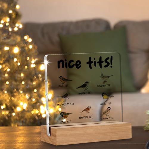 Funny Acrylic Sign for Bird Lovers - 4x4 Inch Desk Decor