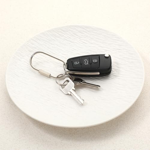 6Pcs Gold Brass Key Rings Screw Lock Key Organizer Metal Carabiner Keychain Clip Making Kit Flat O Split Ring Hooks for Keychains Purse Bag Charms for Handbags (silver)