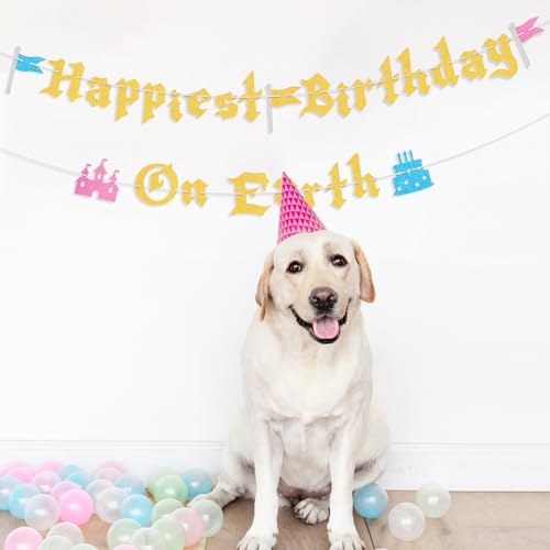 Happiest Birthday On Earth Castle Banner for Girls Party
