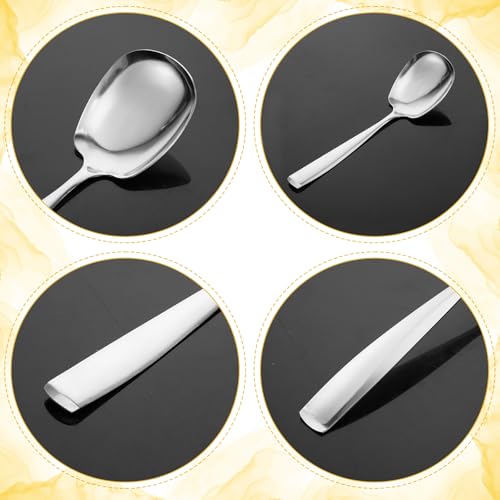 Ezymivs Stainless Steel Serving Spoon 9.5 Inch Heavy-Duty Metal Spoon