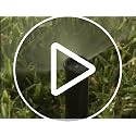 Rain Bird 15CSTC1 Adjustable Spray Nozzle, Center Strip Pattern, 3' x 20'-4' x 30' | Durable Irrigation Nozzle