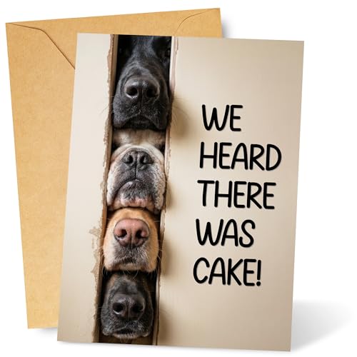 Funny Dogs Birthday Card - Brown | Greeting Card with Envelope